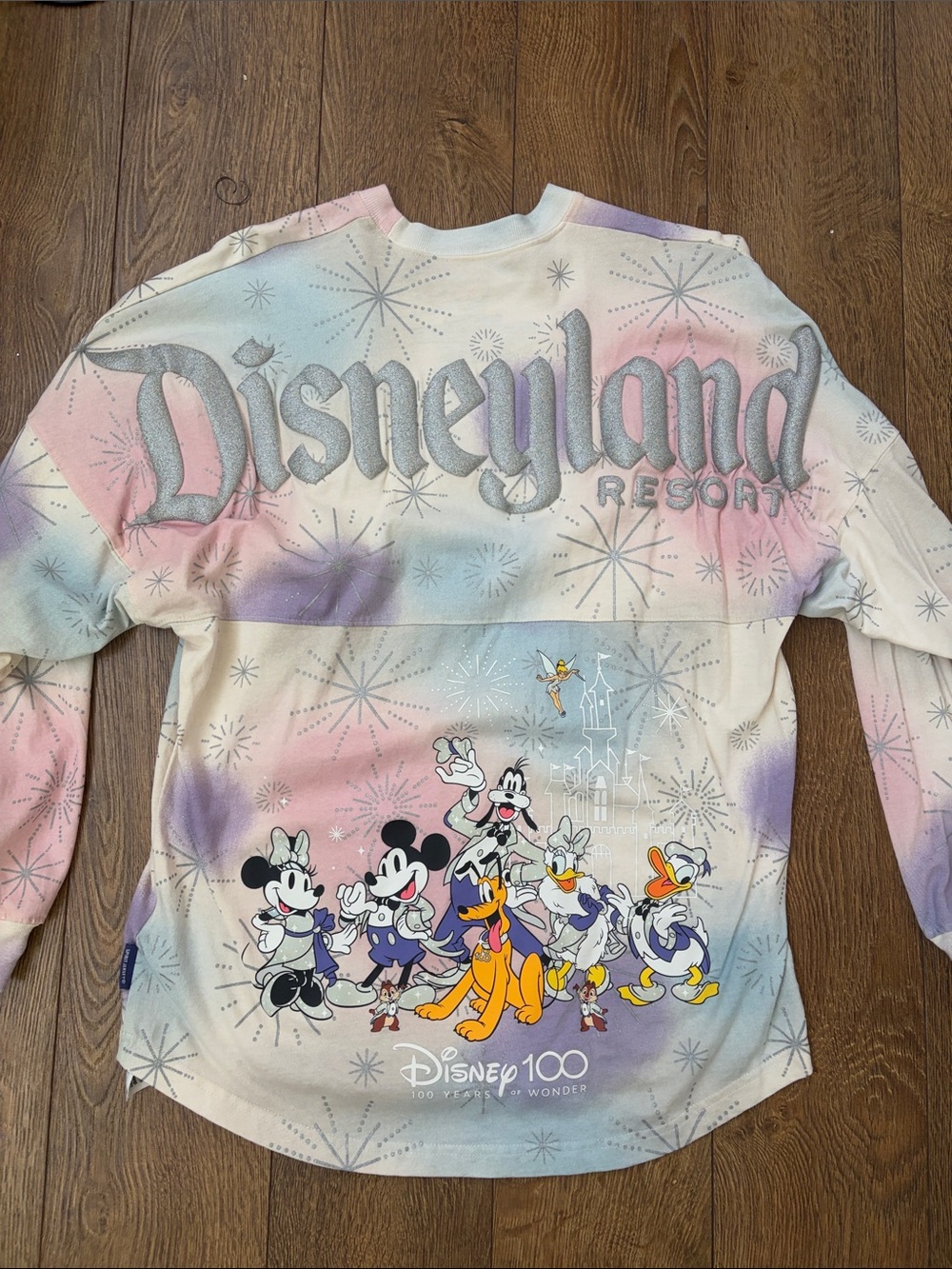 Disney’s 100th Anniversary Spirit Jersey - Women’s small